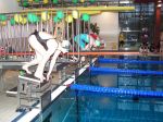 RubberDuck2007-0019.JPG