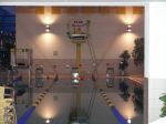 RubberDuck2007-0081.JPG