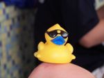 RubberDuck2007-0130.JPG
