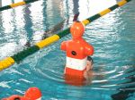 RubberDuck2007-0144.JPG