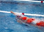 RubberDuck06_0031.JPG